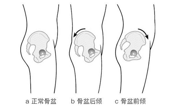 日本乐天内衣销量王︱ 告别“大妈”体型7