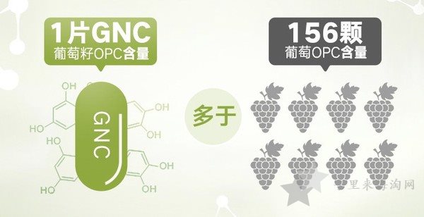 GNC美国官网保健品好物推荐5