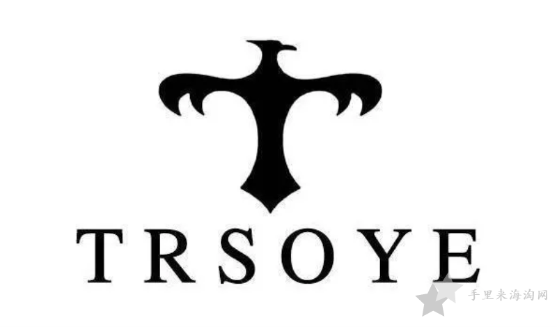 TRSOYE手表什么牌子,TRSOYE男士机械防水腕表品牌什么档次？1
